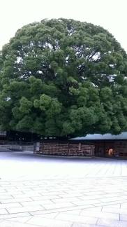 24250847_10214454396782025_894074644_o