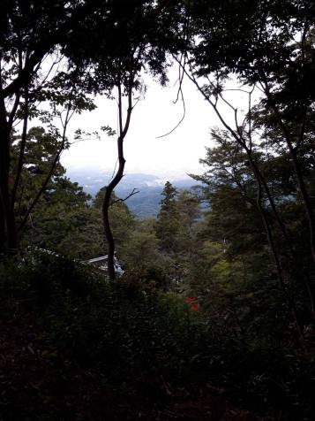 41436998_569865380100217_4232049293583712256_n