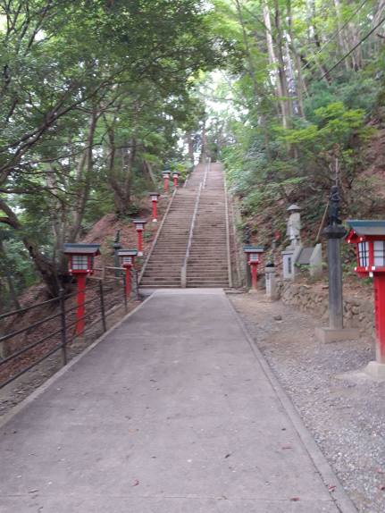 41440064_2323047801045305_9135462860988612608_n